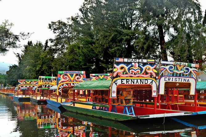 XOCHIMILCO & COYOACAN (Private) - Price and Value: When $129 Feels Fair, and When It Doesn’t