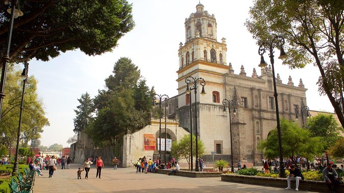 XOCHIMILCO & COYOACAN (Private) - Floating Gardens of Xochimilco: The Trajinera Stop That Makes the Tour