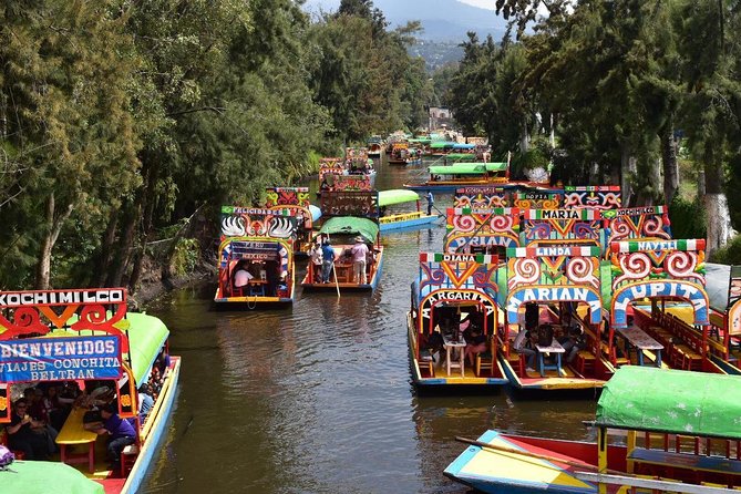 XOCHIMILCO & COYOACAN (Private) - Guide Match Matters More Than You Think