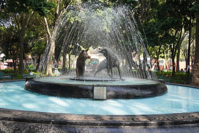 Xochimilco & Coyoacan with Frida Kahlo Private Tour - Xochimilco Trajinera Ride: What to Expect and What to Plan For
