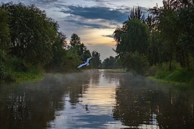Xochimilco Sunrise from Mexico - Key Things to Know Before You Go