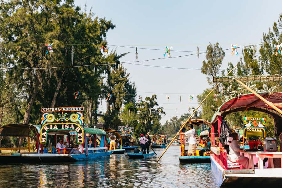 Xochimilco: traditional boat tour, culture, and fun. - Meeting at Las Flores Nativitas, then rolling onto the canals