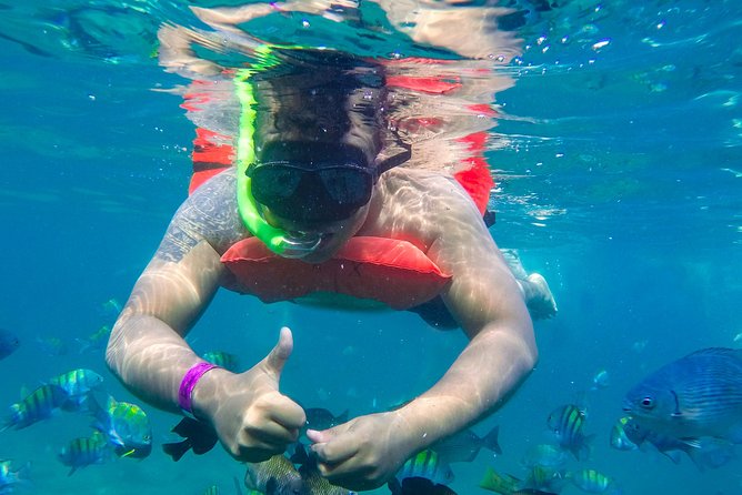 Yelapa Waterfall, BBQ at Exclusive Majahuitas Beach & Open bar - Majahuitas Beach Club: snorkeling, kayaking, BBQ, and time in the water