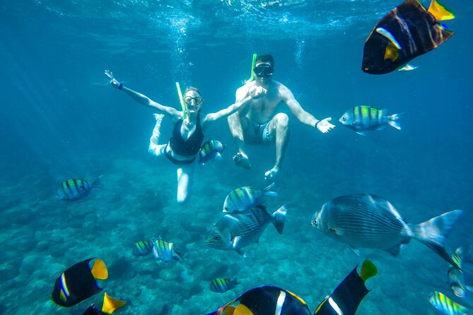 Yelapa Waterfall, BBQ at Exclusive Majahuitas Beach & Open bar - Price and value: what $99 really buys, plus the small extras